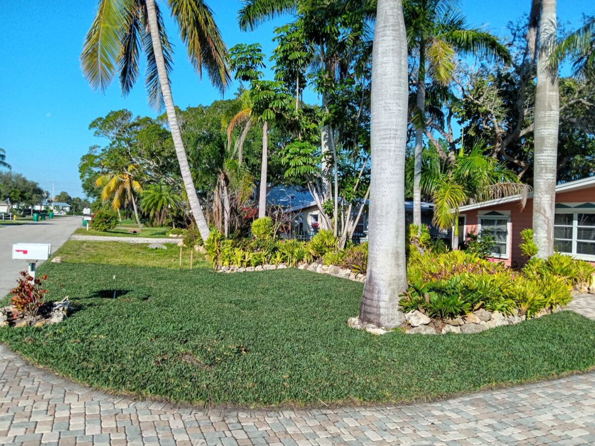 Bonita Springs Sod Installation Project 4