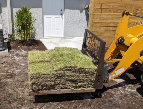 How to Prep Sandy Soil for Sod in Southwest Florida San