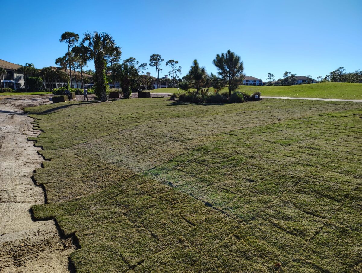 golf course sodding project