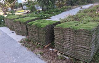 pallets of paspalum sod