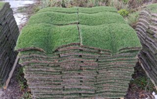 pallet of sod