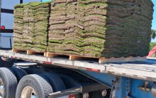 pallet of sod on the back of a truck
