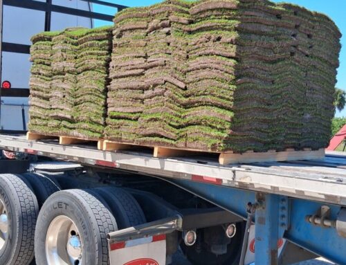 The Top Benefits of Hiring a Professional Sod Installation Service
