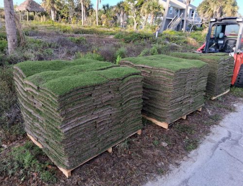 Punta Gorda Sod Delivery and Installation: How to Plan a New Lawn Around Drainage, Heat, and Delivery Timing
