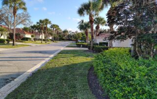 new sod for florida lawn