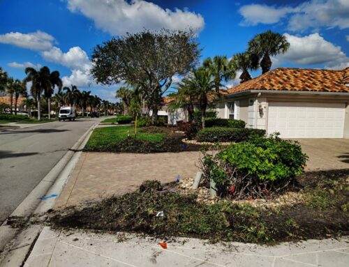 Choosing The Right Mulch Company For Residential and Commercial Projects