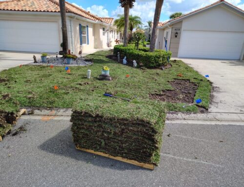 Best Time of Year to Install Sod in Florida: Expert Tips for a Healthy Lawn