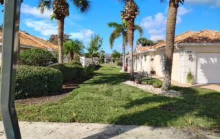 florida lawn with new sod