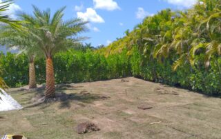 Florida sod replacement project