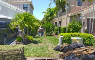 new sod for Florida home