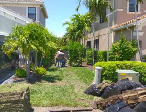 Top 5 Mistakes Florida Homeowners Make with New Sod