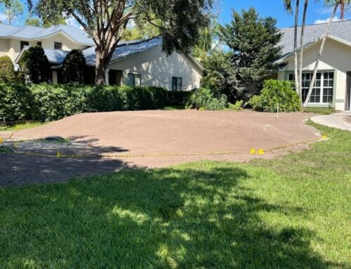 Sod Delivery & Installation Tips: What Florida Homeowners Should Know