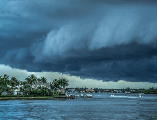 Can Sod Handle Florida’s Hurricane Season? Here’s What to Know