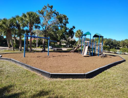 Landscape Mulch Delivery Tips for Clean and Efficient Installation