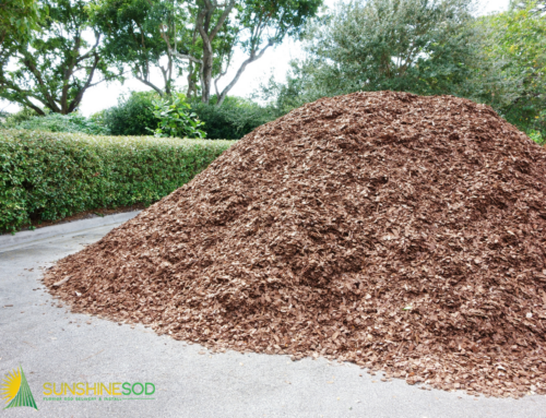 When Mulch Delivery Makes Sense for Florida Properties