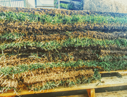 How to Order a Pallet of Sod Without Overbuying or Wasting Material