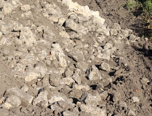 New Construction Sod in Southwest Florida: Fix Builder-Grade Dirt Before Grass Goes Down