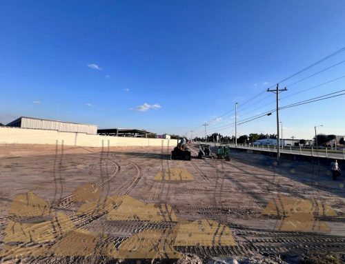 Cape Coral Canal Lot Sod Replacement: How to Plan a Cleaner Florida Lawn