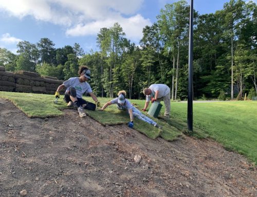 Best Time to Install Sod in Florida Before the Rainy Season