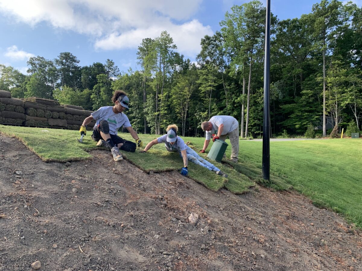 Fresh sod installation for a Florida lawn before the rainy season