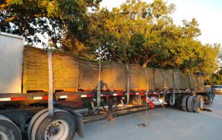 Pallets of flat slab sod loaded for Florida sod delivery and installation
