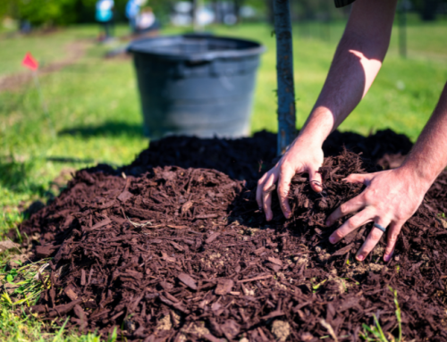 Mulch Delivery Service vs Buying Bags: What Saves More Time