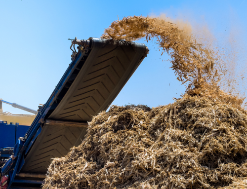What Types of Mulch Are Available With Bulk Mulch Delivery